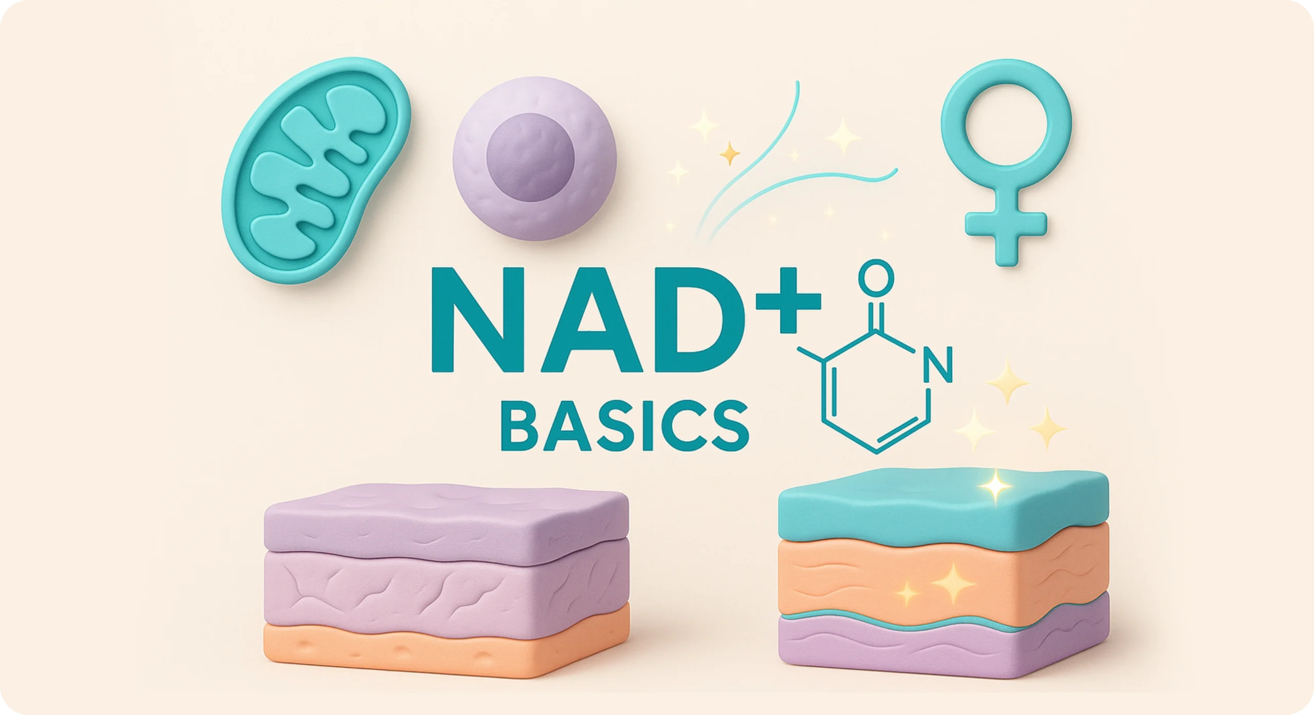 NAD Benefits for Women: Hormones, Energy & Aging (NAD+ Therapy Guide) |  Perfect B