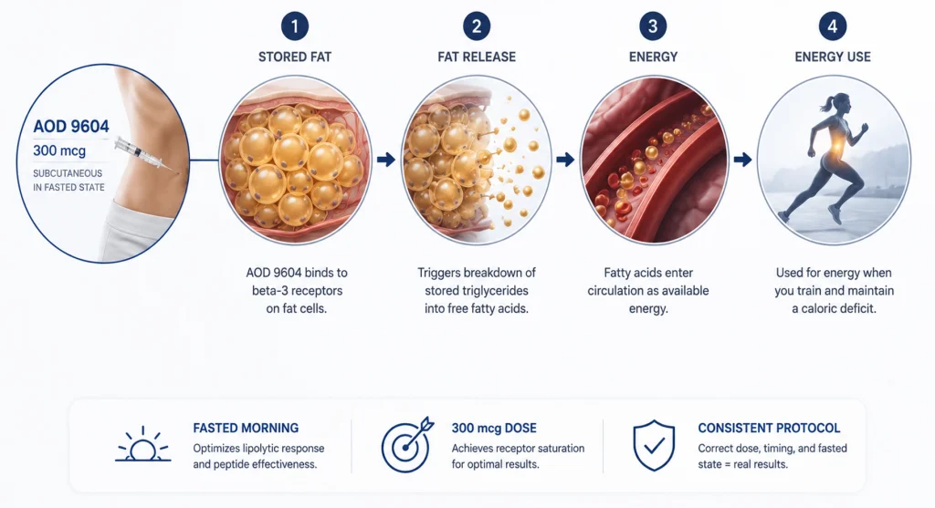 AOD 9604 dosage and injection protocol visual showing peptide preparation and injection workflow context