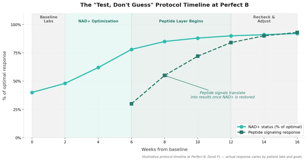 Perfect B - Blog - NAD+ and Peptides Therapy - Test Don't Guess protocol timeline showing NAD+ optimization before peptide layering at Perfect B Doral FL