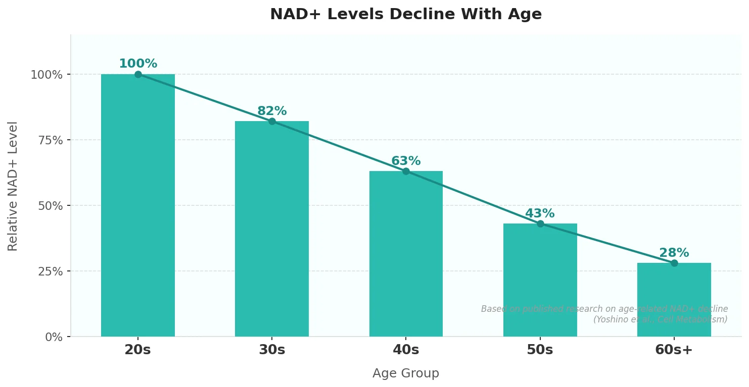 Perfect B - Blog - NAD IV Therapy Miami - NAD levels decline with age chart