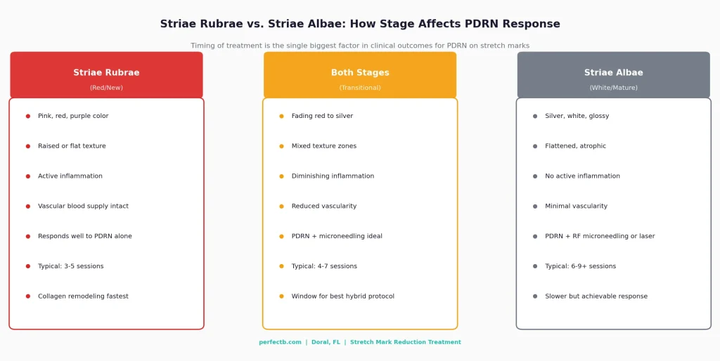 Perfect B - Blog - PDRN for Stretch Marks - Clinical comparison chart striae rubrae versus striae albae and PDRN treatment protocol differences