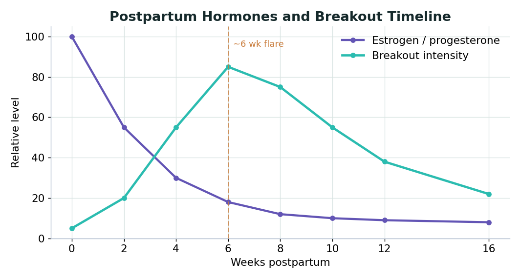Perfect B - Blog - Postpartum Acne - Hormone drop and breakout timeline chart