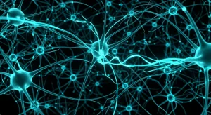Perfect B - Blog - Semax vs NAD - Brain neural network peptide therapy visualization