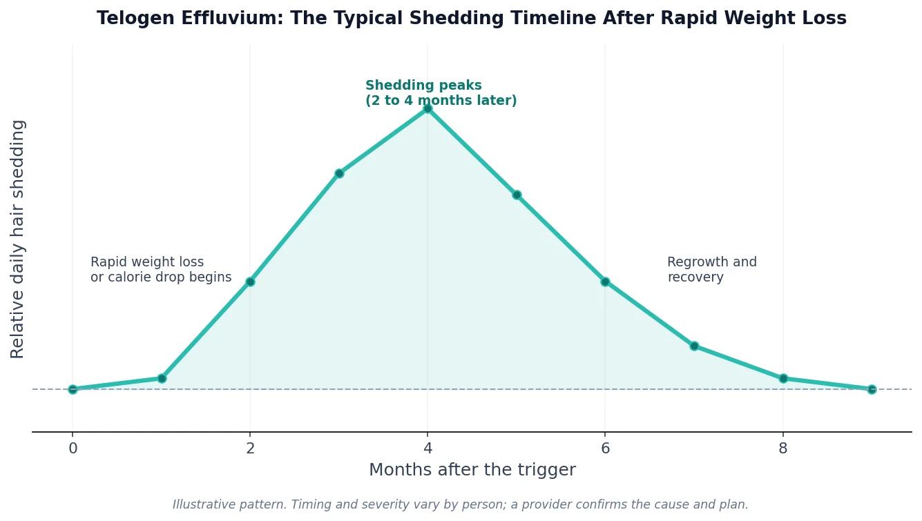 Perfect B - Blog - Ozempic Hair Loss - chart of the telogen effluvium hair shedding timeline after rapid weight loss